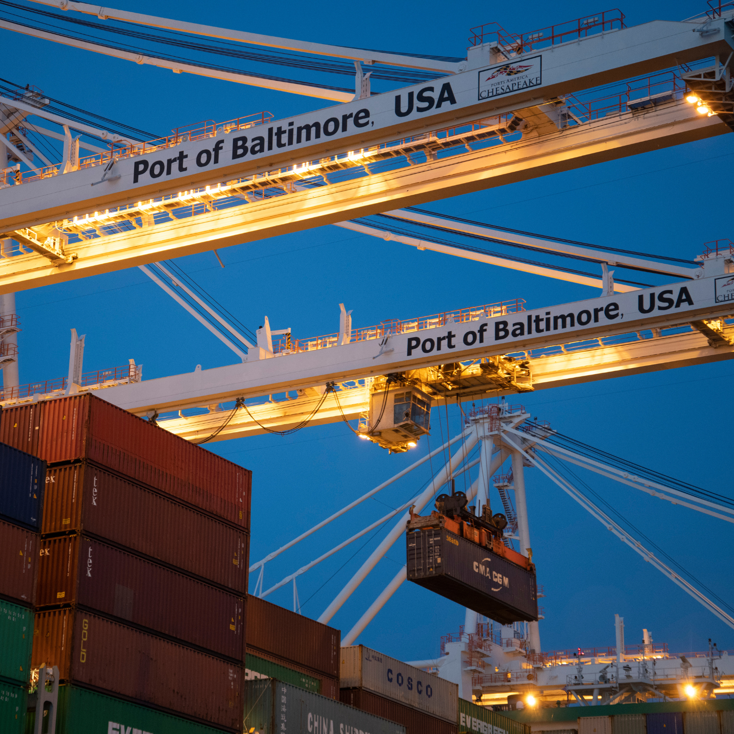 Services | Terranore Terranore logistics operations managing global exports with scalable and sustainable supply chain solutions for D2C brands