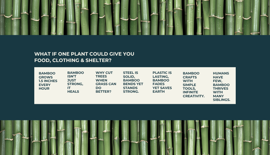 Tall green bamboo trees growing closely together in a natural forest, showcasing sustainable, eco-friendly, and renewable bamboo as a versatile resource for food, clothing, and shelter.