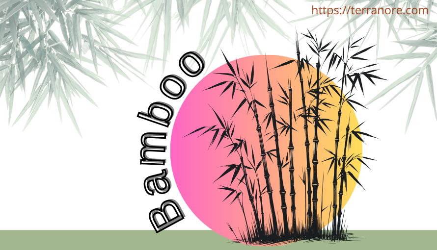 The Bamboo Blueprint: Nature’s Food, Clothing, Shelter and Beyond | Terranore Tall green bamboo trees growing closely together in a natural forest, showcasing sustainable, eco-friendly, and renewable bamboo as a versatile resource for food, clothing, and shelter.
